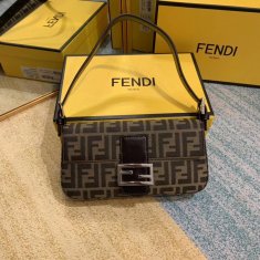 Fendi Small Hobo Bag Brown Canvas With Silver Hardware
