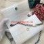 YSL Tassel Chain Bag 17cm Croco White Silver